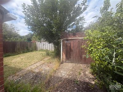 Picture 15